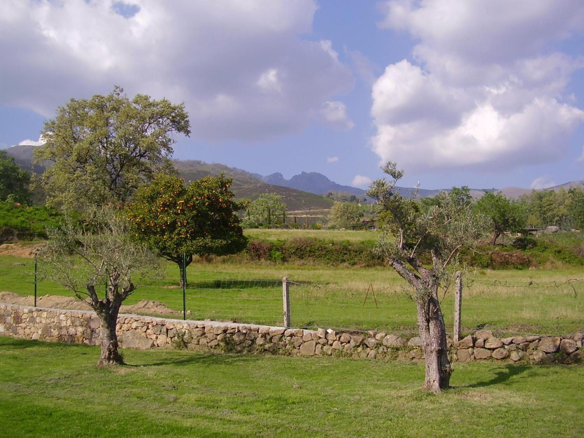 Casa Rural Ropino Affittacamere El Raso Esterno foto